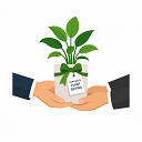 Corporate Plant Gifting