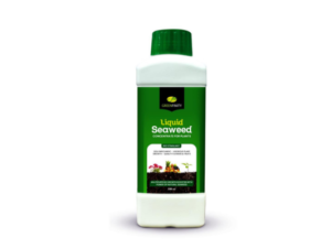 GREENFINITY Seaweed Pro Liquid Concentrate For Indoor & Outdoor Plants With Measuring Cup Growth Booster Liquid Fertilizer 500ml