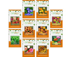 Pack of 10 Varieties - Summer Season Home Gardening Flower Seeds Collection - (Platinum Collection)