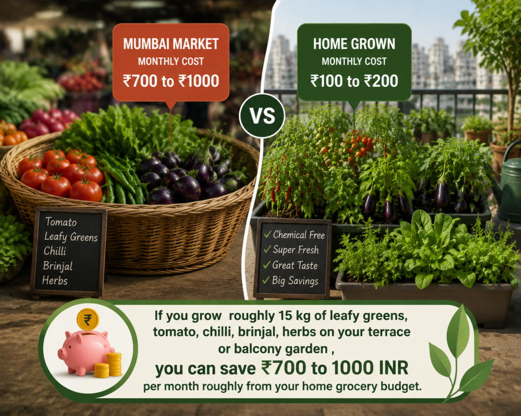 Reduce Monthly Expenses By Growing Your Own Vegetables" – Cost comparison infographic showing Mumbai market vegetable prices versus home-grown produce from a terrace or balcony garden. The image highlights that growing approximately 15 kg of leafy greens, tomatoes, chillies, brinjals, and herbs at home can help save around ₹700 to ₹1000 per month on your household grocery budget while enjoying fresh, chemical-free vegetables.