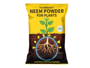 TrustBasket Neem Cake PowderNeem Khali (set of 2) - 450gm - Extracted Through Cold Press Technology - Higher Azadirachtin & Neem Oil Content - Organic Fertilizer and Pest Repellent for Plants