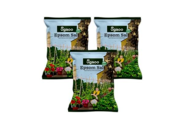 Ugaoo Epsom Salt for Plants 3 Kg Magnesium Sulphate Fertilizer for Indoor & Outdoor Plants Improves Soil Nutrient Absorption, Growth Booster for Home Garden, Potting Soil Mix & Gardening Soil