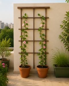 trellis climber corner