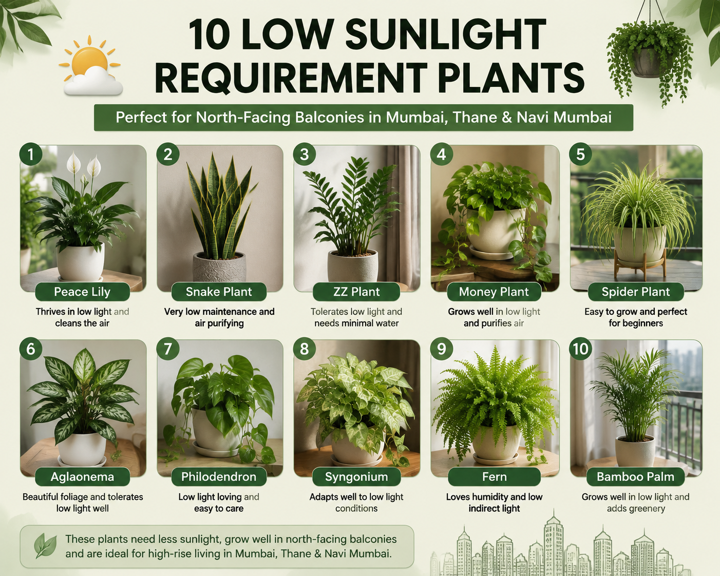 10 best low-sunlight plants for north-facing balconies in Mumbai, Thane and Navi Mumbai, including Snake Plant, Peace Lily, ZZ Plant, Money Plant, Spider Plant, Areca Palm, Chinese Evergreen, Boston Fern, Cast Iron Plant and Philodendron