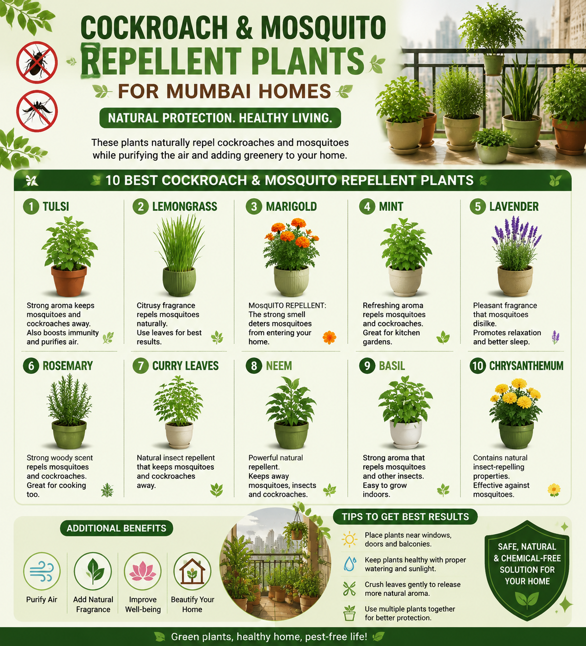 Infographic showing 10 best cockroach and mosquito repellent plants for Mumbai homes, including Tulsi, lemongrass, marigold, mint, lavender, rosemary, curry leaves, neem, basil and chrysanthemum, with natural pest-repellent benefits and balcony gardening tips