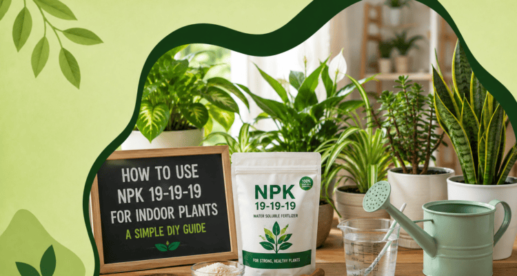 How To Use NPK 19 19 19 For Indoor Plants – A Simple DIY Guide