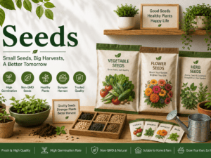 Seeds