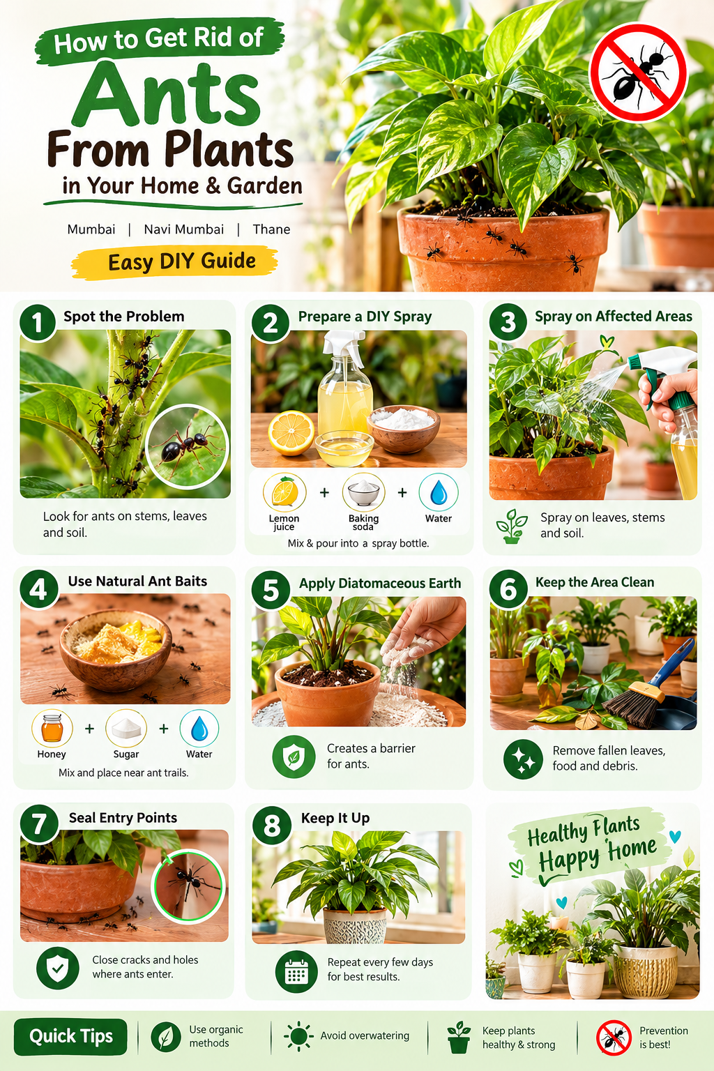 Infographic showing 8 easy DIY steps to get rid of ants from indoor plants and home gardens in Mumbai, Navi Mumbai and Thane, including natural ant spray, bait, diatomaceous earth, cleaning, sealing entry points and prevention tips