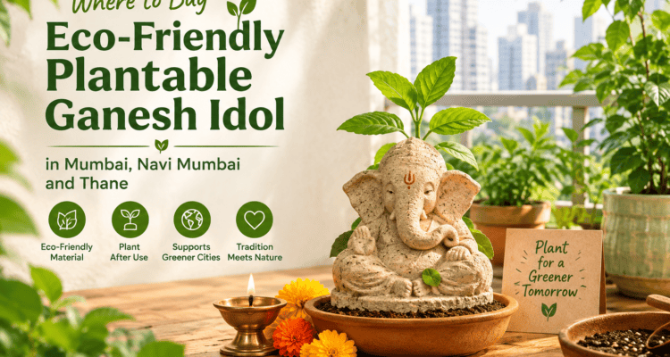 Where To Buy Eco Friendly Plantable Ganesh Idol In Mumbai, Navi Mumbai And Thane ?
