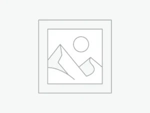 Uncategorised